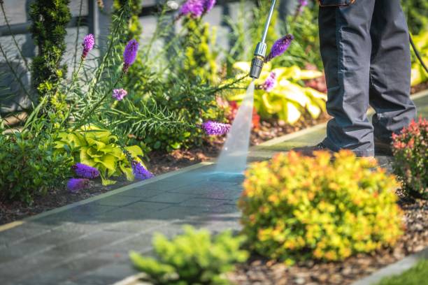 Best Patio and Deck Pressure Washing  in Medulla, FL